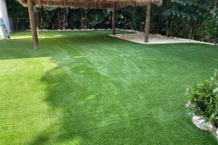 Clean turf