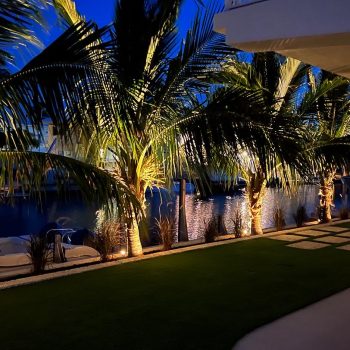 Palm Trees with artificial grass